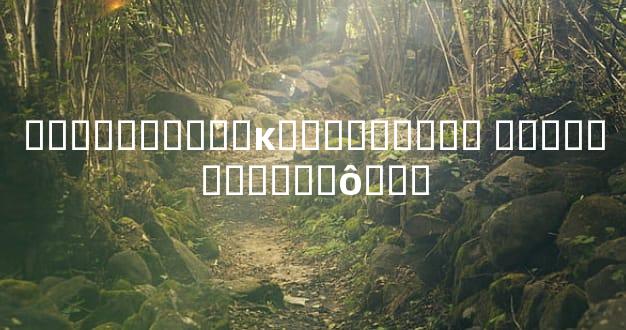 ���Ӵ�͸����ĸ��������� ��ѧ���Ӵ���ʲô��˼